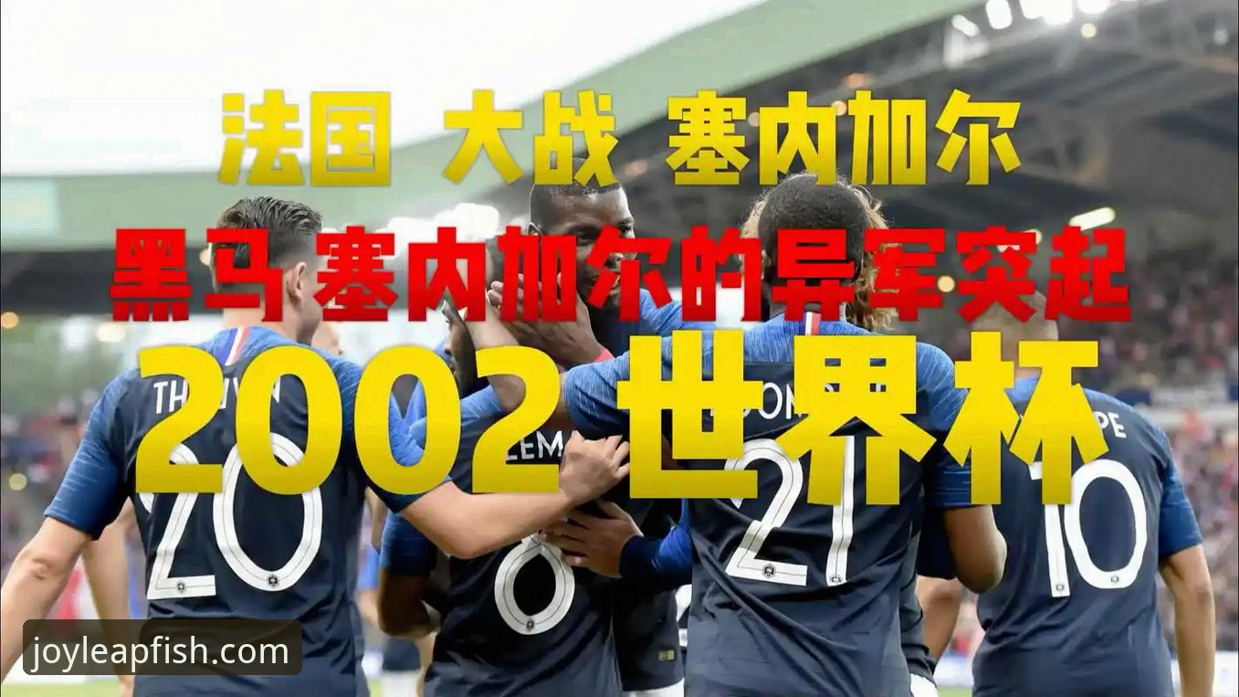 绝杀52年等待：民主刚果世界杯晋级之路详解